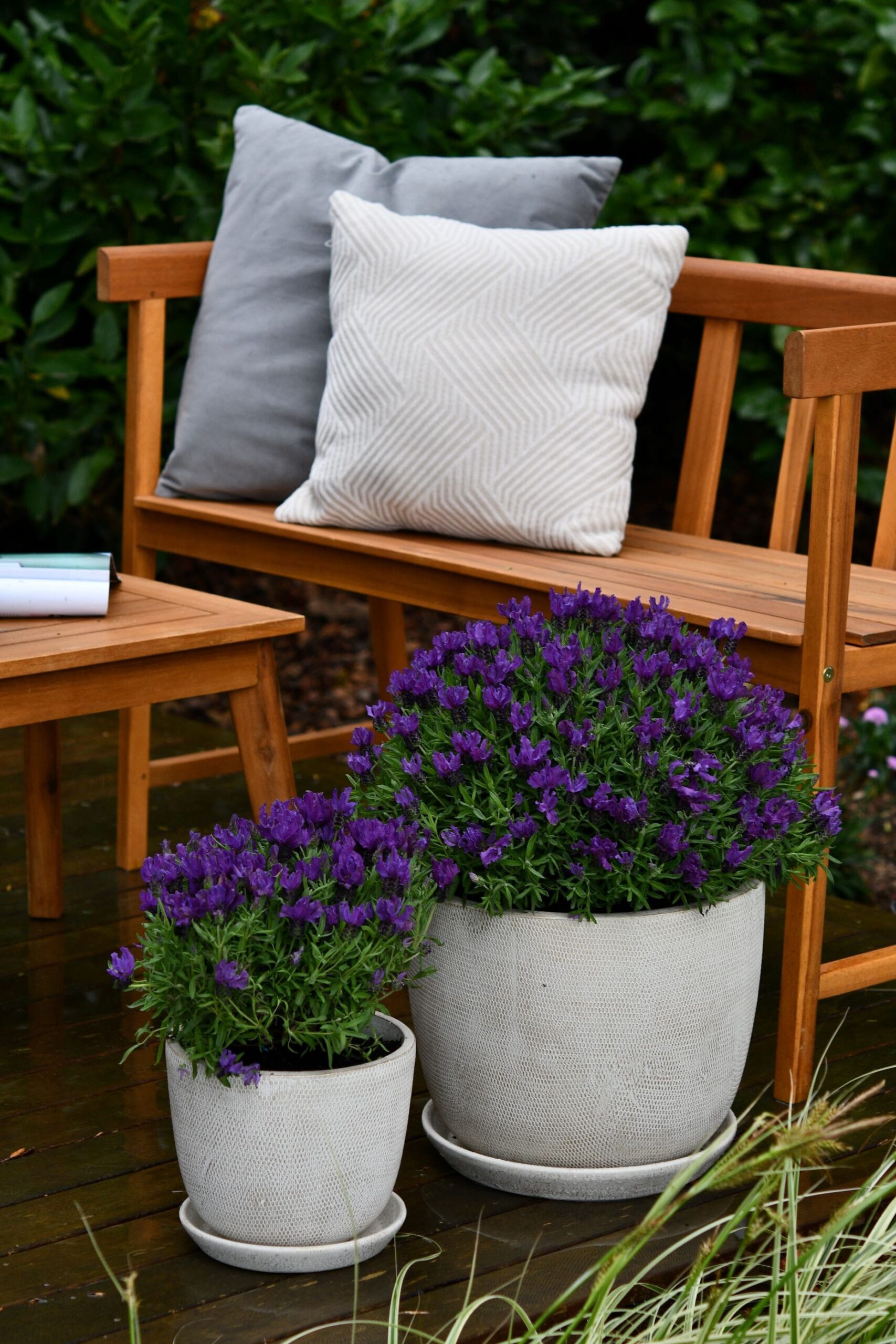 Living Fashion - Purple Flowers