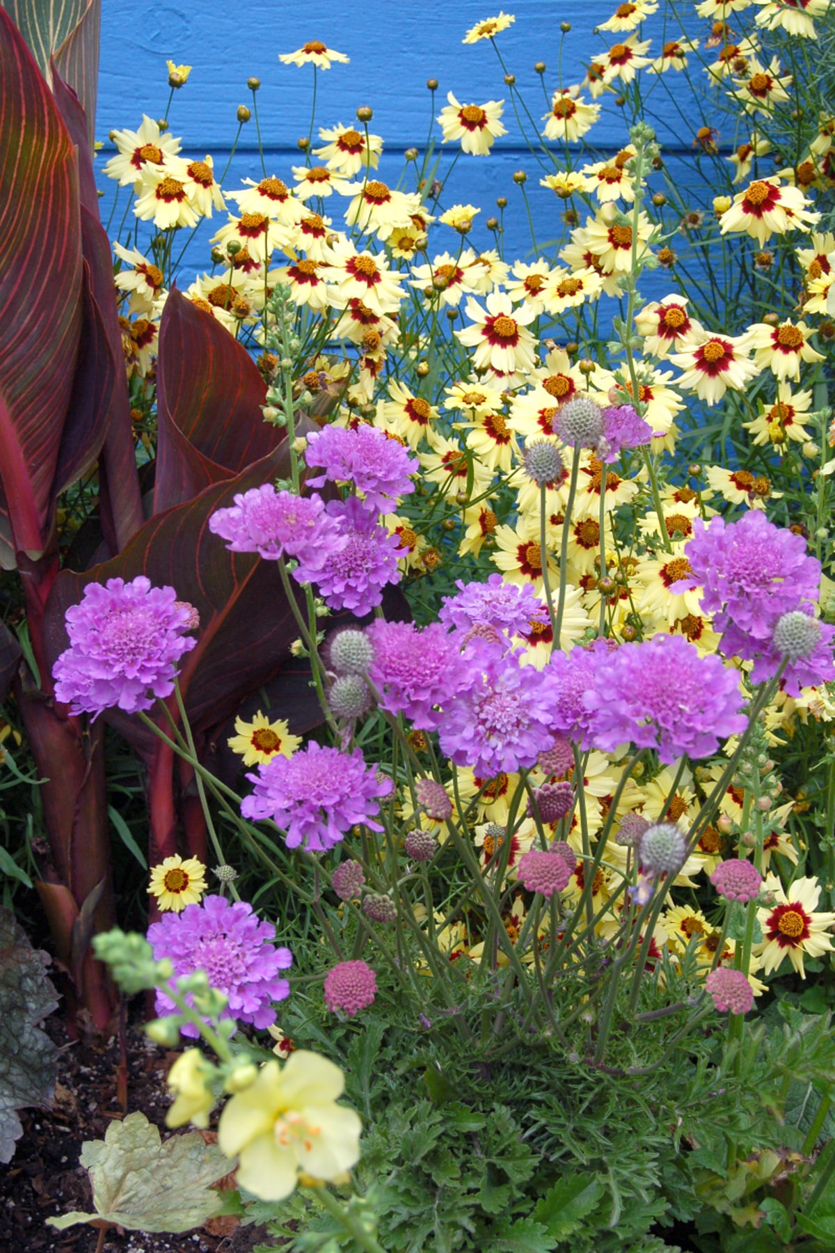 Living Fashion - Purple FLowers