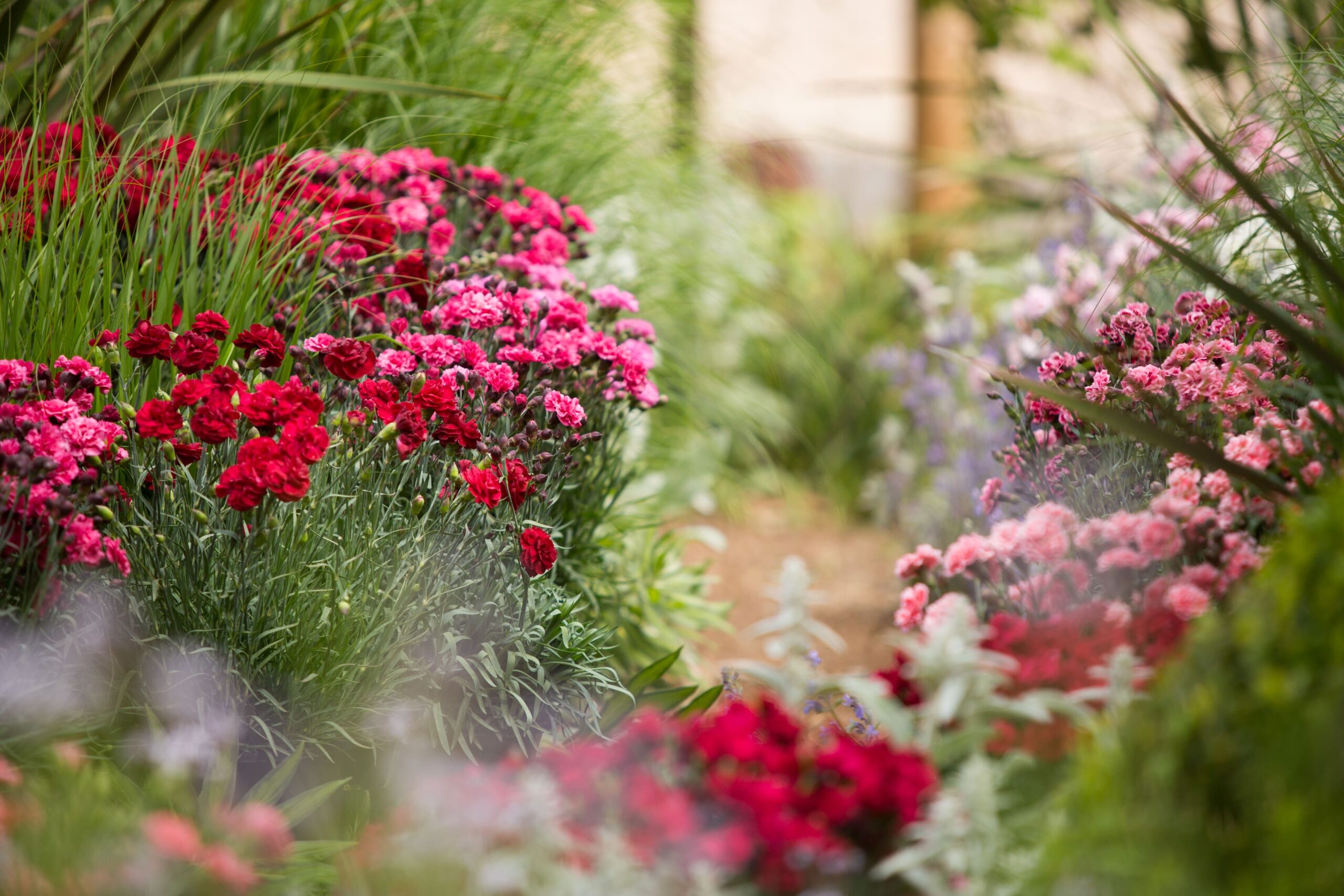 d93c379f20e7b07e1fd7ce459fed868e13d8bf9c-min Garden of flowers