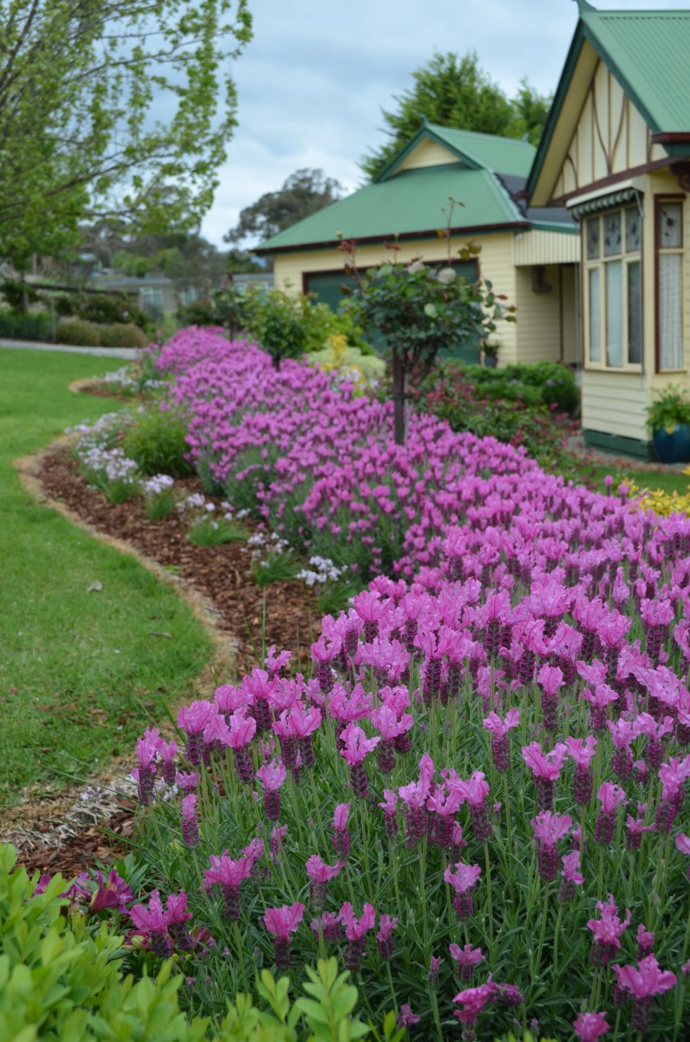 l_theprincesslav_05_30pc